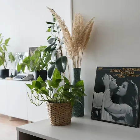 Artist's - Urban Oasis Apartment *