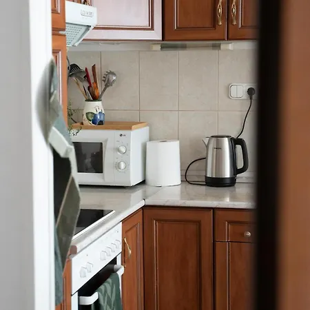 Daire Artist's - Urban Oasis Budapeşte